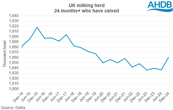 UK cow numbers chart